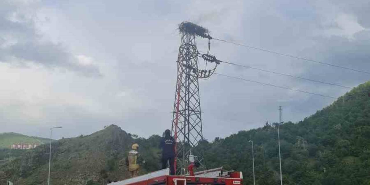 Leylek Yuvasına Yıldırım Düştü