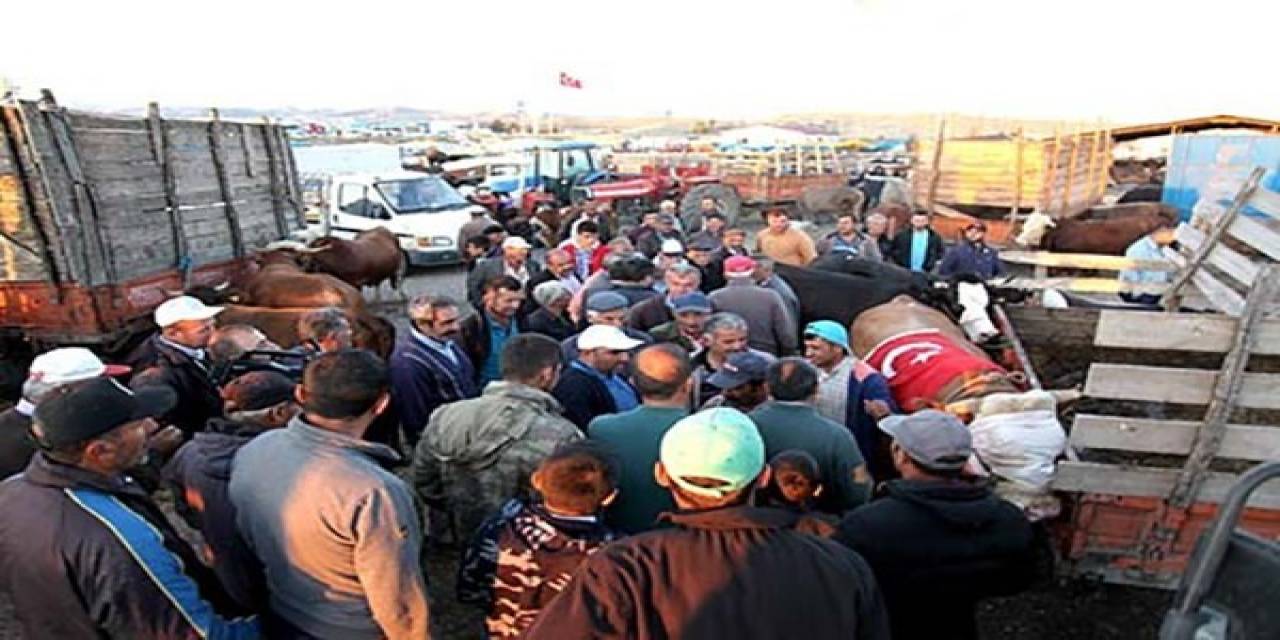 Kurban Bayramı Öncesinde Hayvan Pazarı Tekrar Açılacak