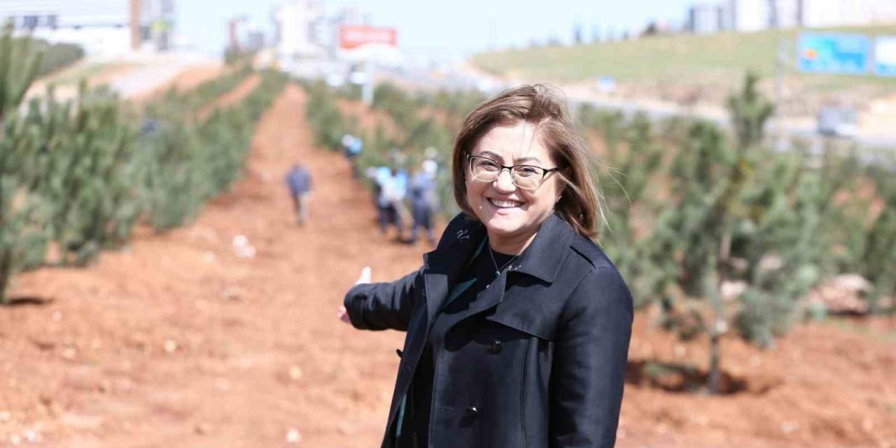 Gaziantep’te Kişi Başına Düşen Yeşil Alan Yaklaşık 13 Metrekareye Çıktı
