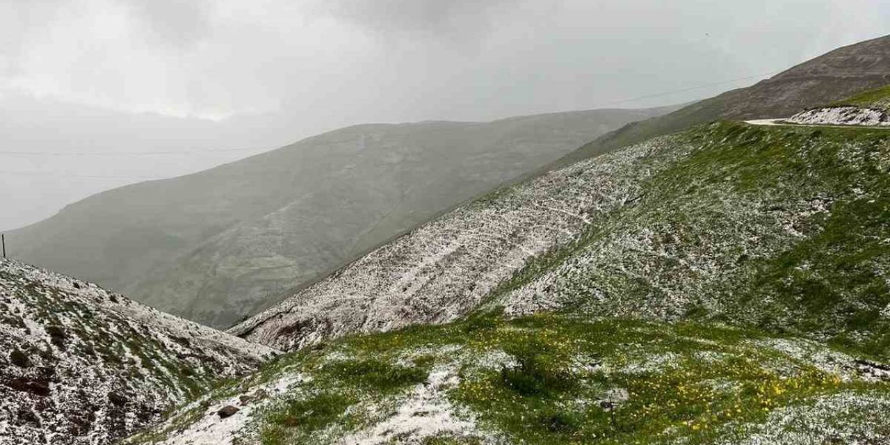 İliç’te Sağanak Ve Dolu Yağışı Etkili Oldu