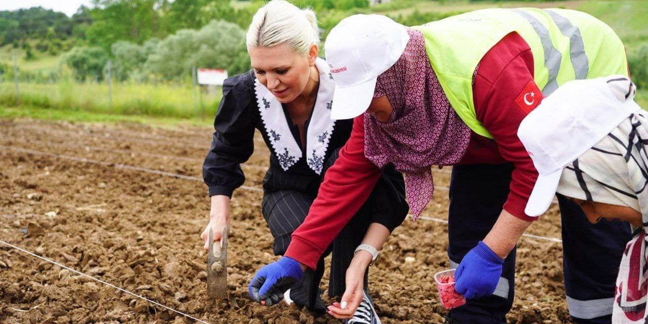 Belediyeye Ait Verimli Tarım Arazilerine Kabak Tohumu Ekildi