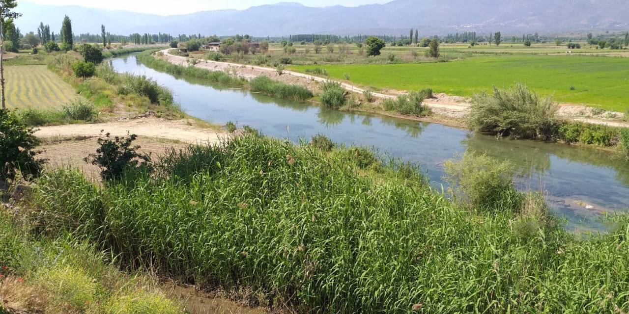 Aydın’da Uzun Yıllardır Görünmeyen Su Samuru, Ölü Olarak Bulundu