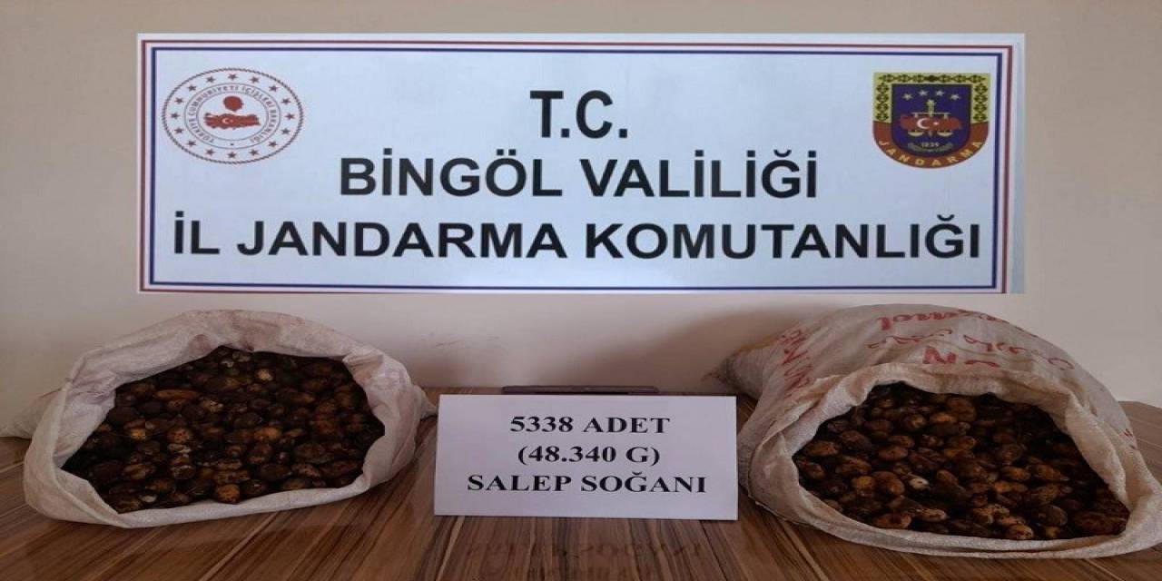 Salep Soğanı Toplayan Kişilere 1 Milyon 221 Bin Lira Ceza Kesildi