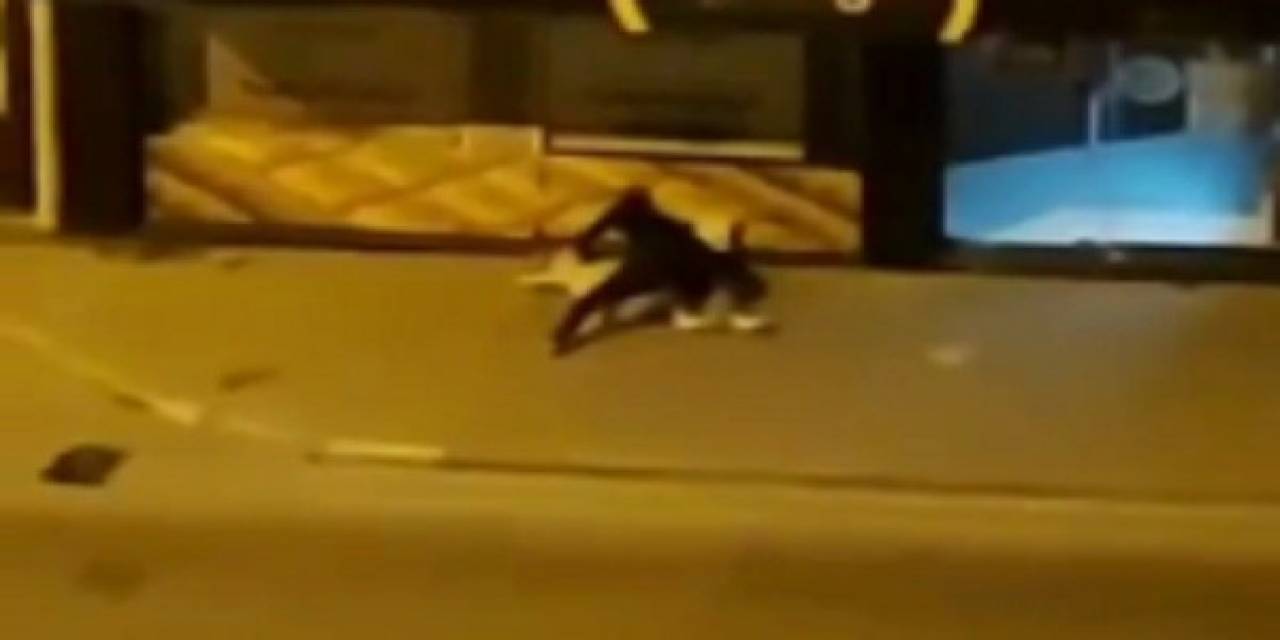Sokak Ortasında Dayak Yedi, Polis Gelince Şikayetçi Olmadı
