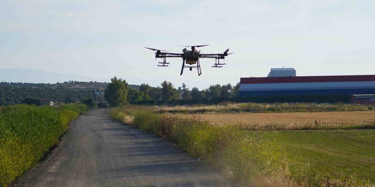 Dron İle Sinek Öldürüyorlar