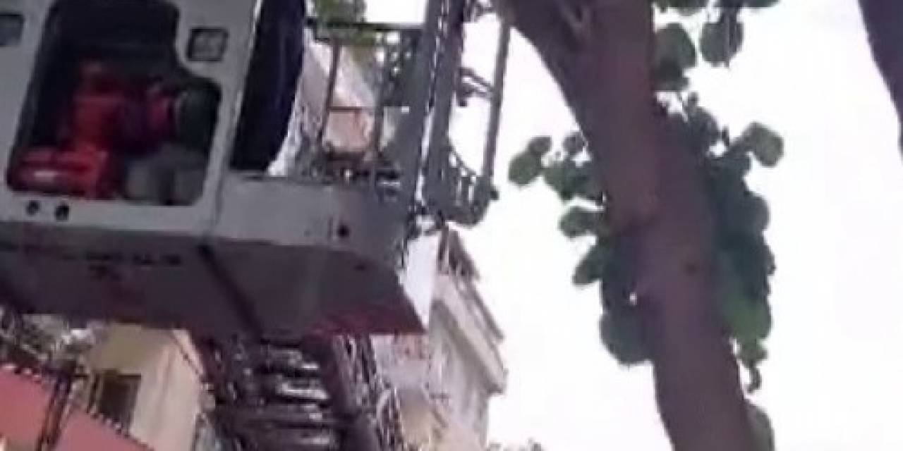 Sancaktepe’de Ağaçta Mahsur Kalan Çocuğu İtfaiye Kurtardı
