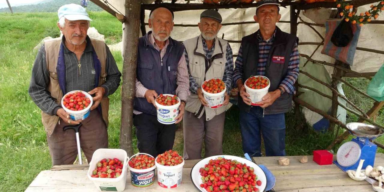 Demirciören Çileği Tezgahlarda