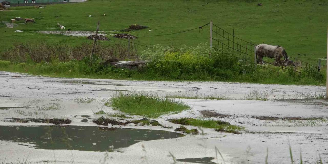 Dolu Yağışı Sonrası Her Yer Beyaza Büründü