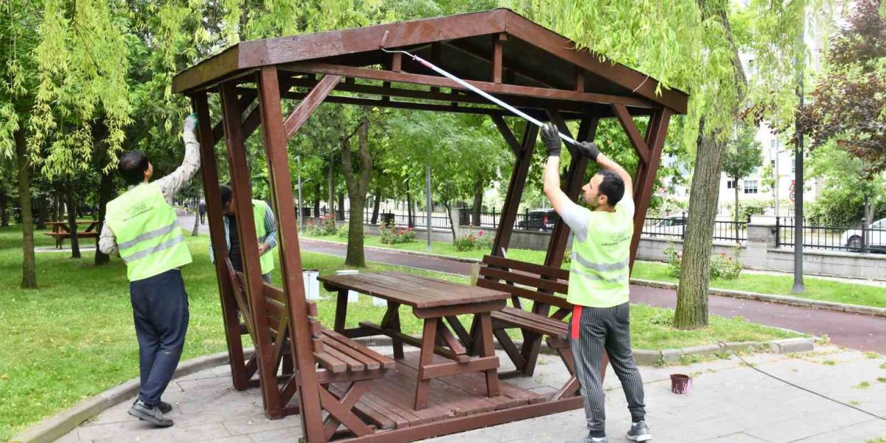 Parklar Çiçek Ve Bitkilerle Süsleniyor