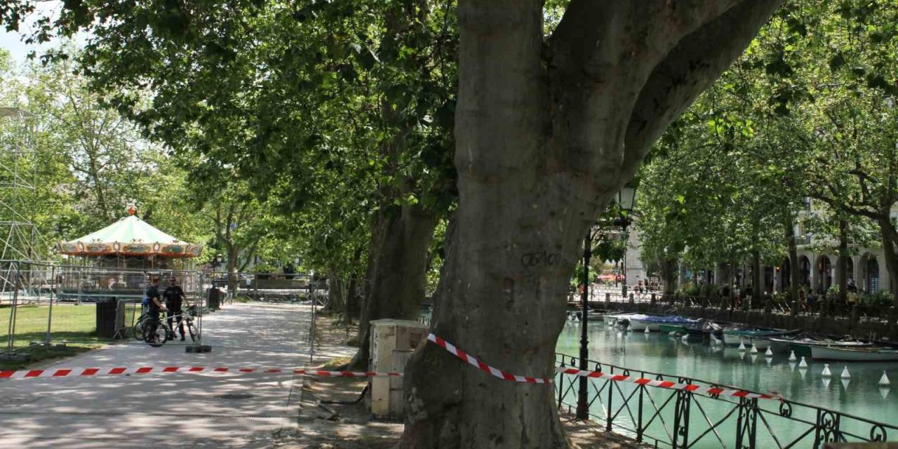 Fransa’da Çocukları Bıçaklayan Saldırgan Psikiyatri Hastanesine Sevk Edildi