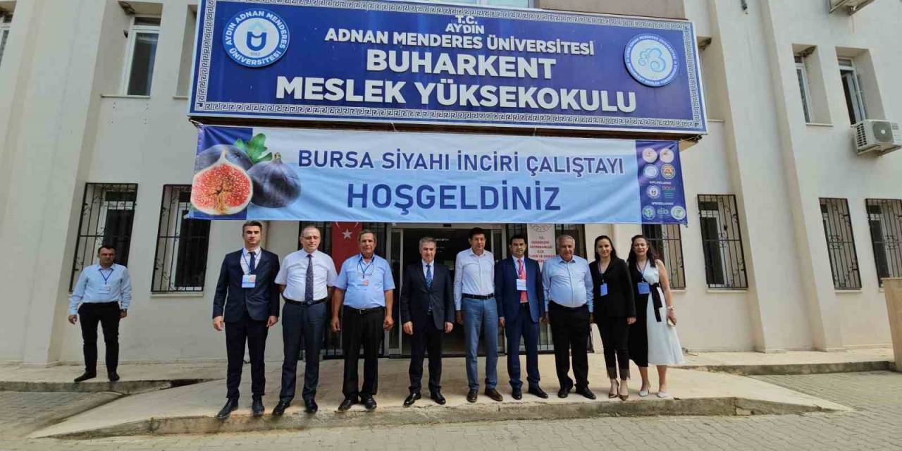 Taze İncirde Erkenciliği İle Buharkent Rakip Tanımıyor