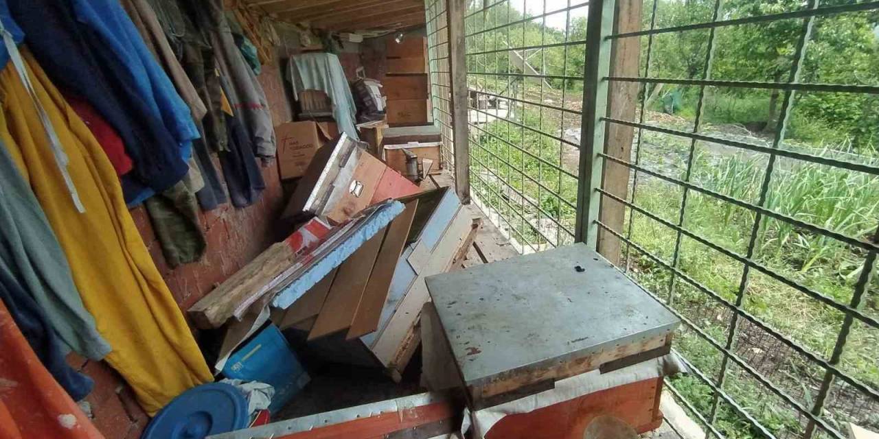 Tüm Tedbirler Ayıyı Durdurmadı, Kovanları Parçalayan Ayı Geride Pençe İzlerini Bıraktı