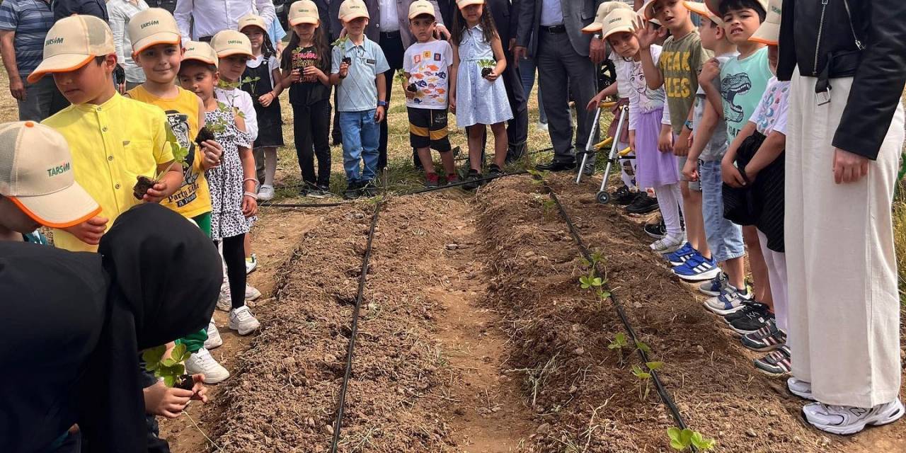 Okulda Çilek Dikmeyi Öğrendiler