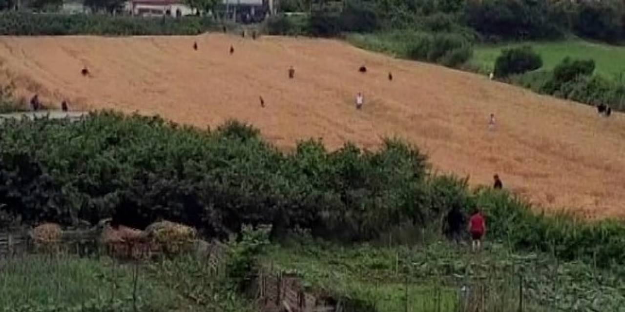 Cezaevine Götürüldüğü Esnada Firar Etti, Ortalık Karıştı