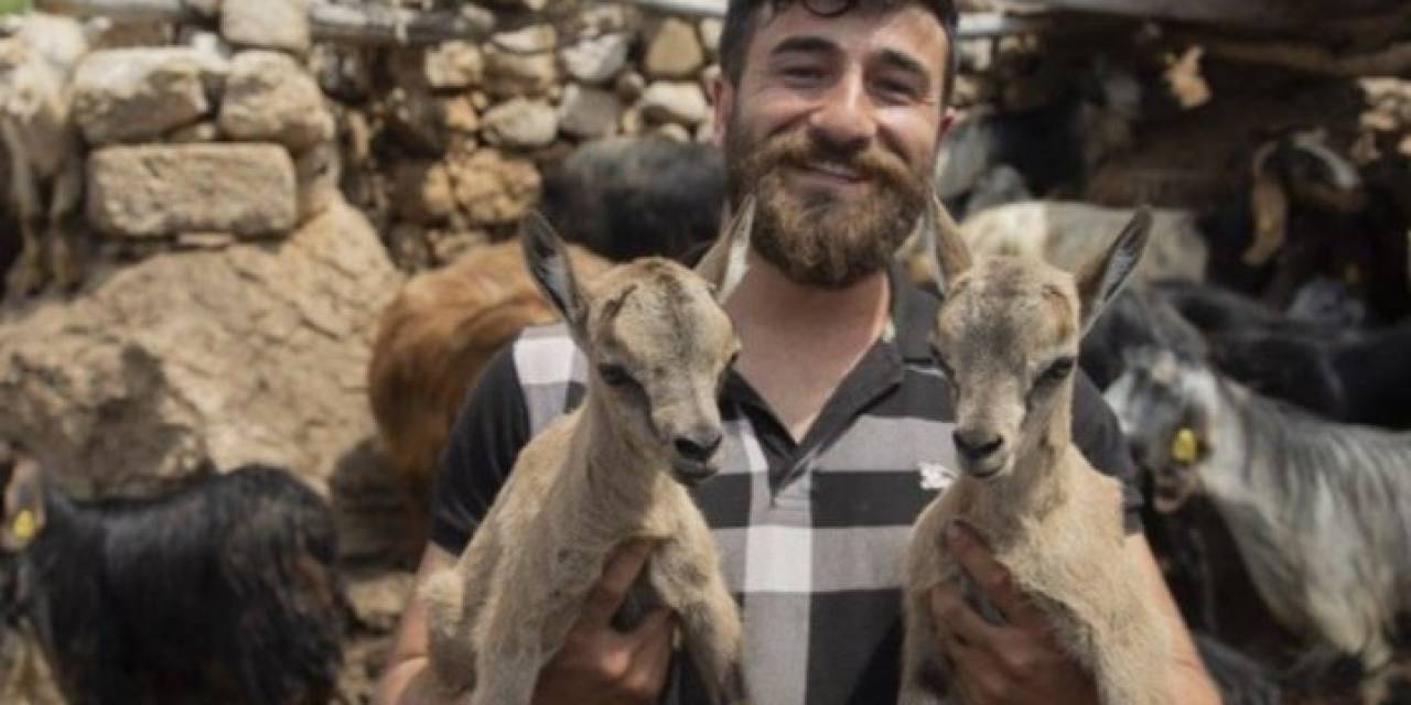 Öksüz Kalan Yaban Keçileri "munzur" Ve "dersim"den Güzel Haber