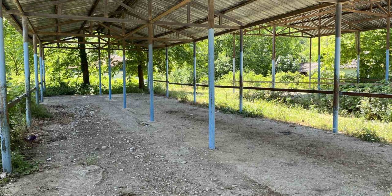Bartın’ın Buğurlar Köyünde Şap Hastalığı Şüphesi