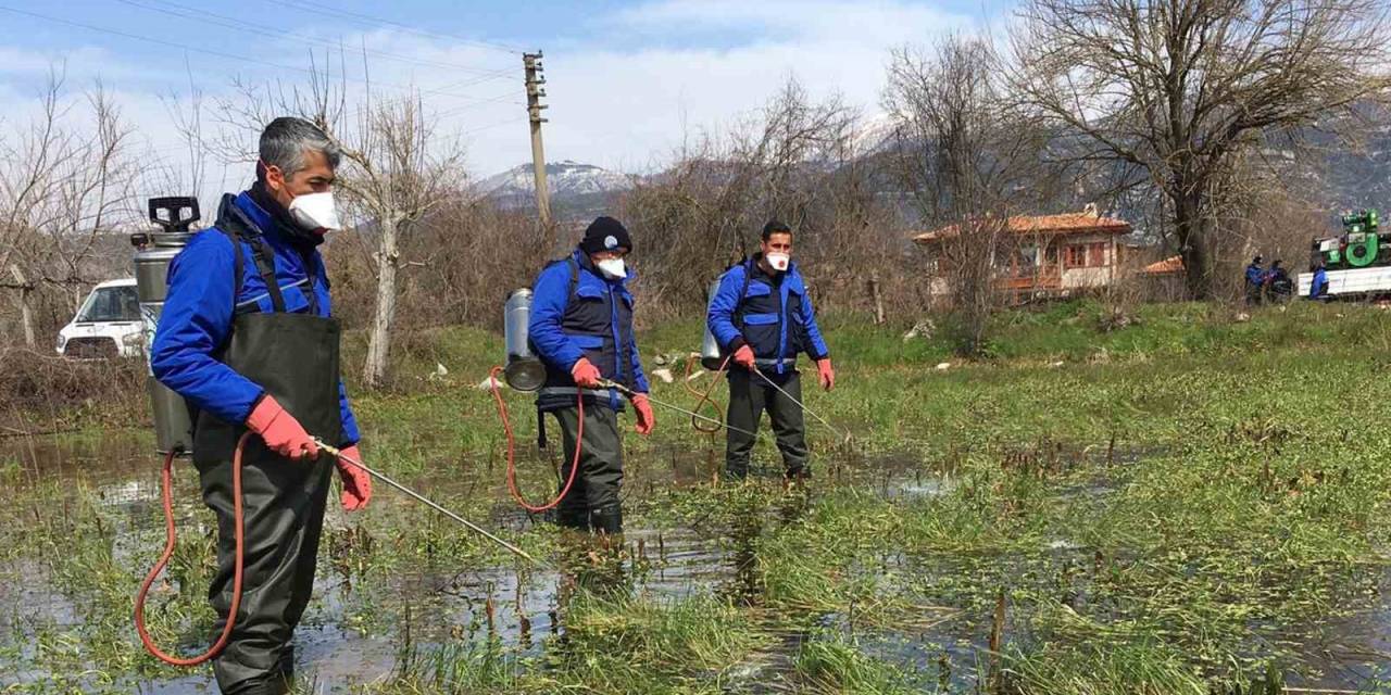 Büyükşehir Ekiplerinden Yağmurlar Sonrası Vektörle Mücadele