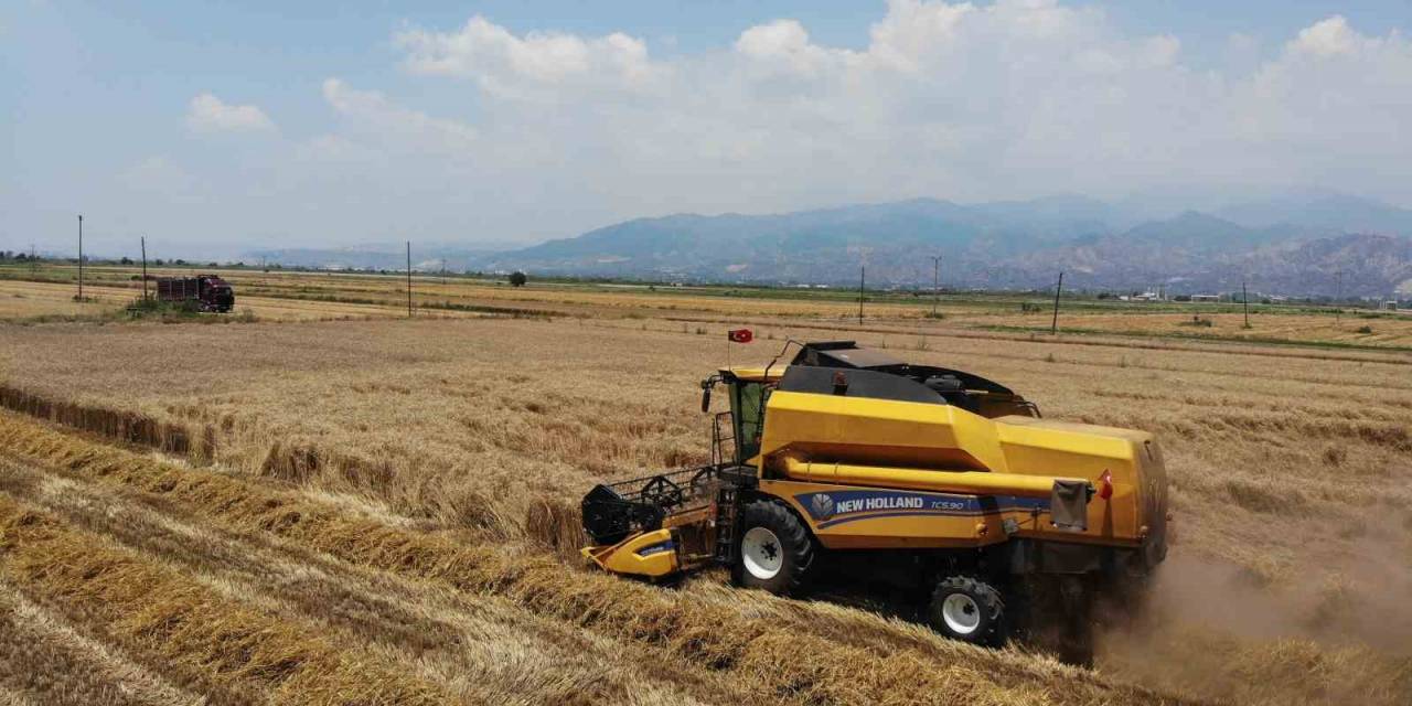 Buğday Üreticileri Hasat İçin Zamanla Yarışıyor