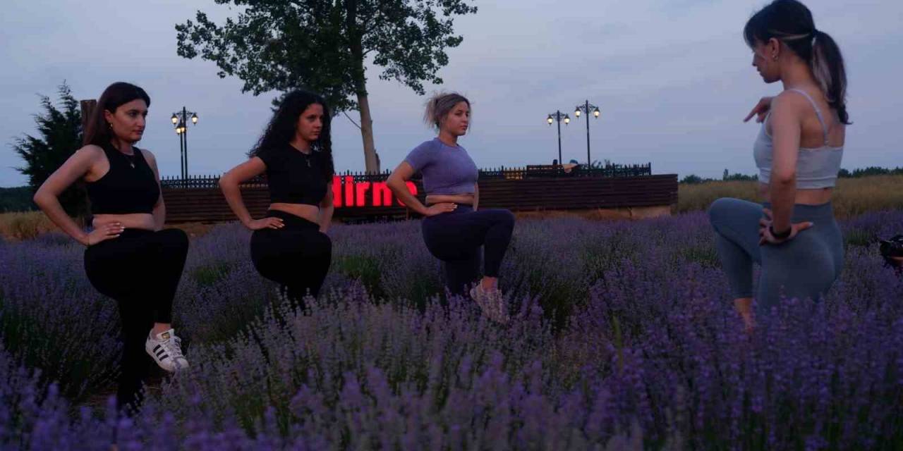 Lavanta Tarlasında Gün Batımı Eşliğinde Yoga