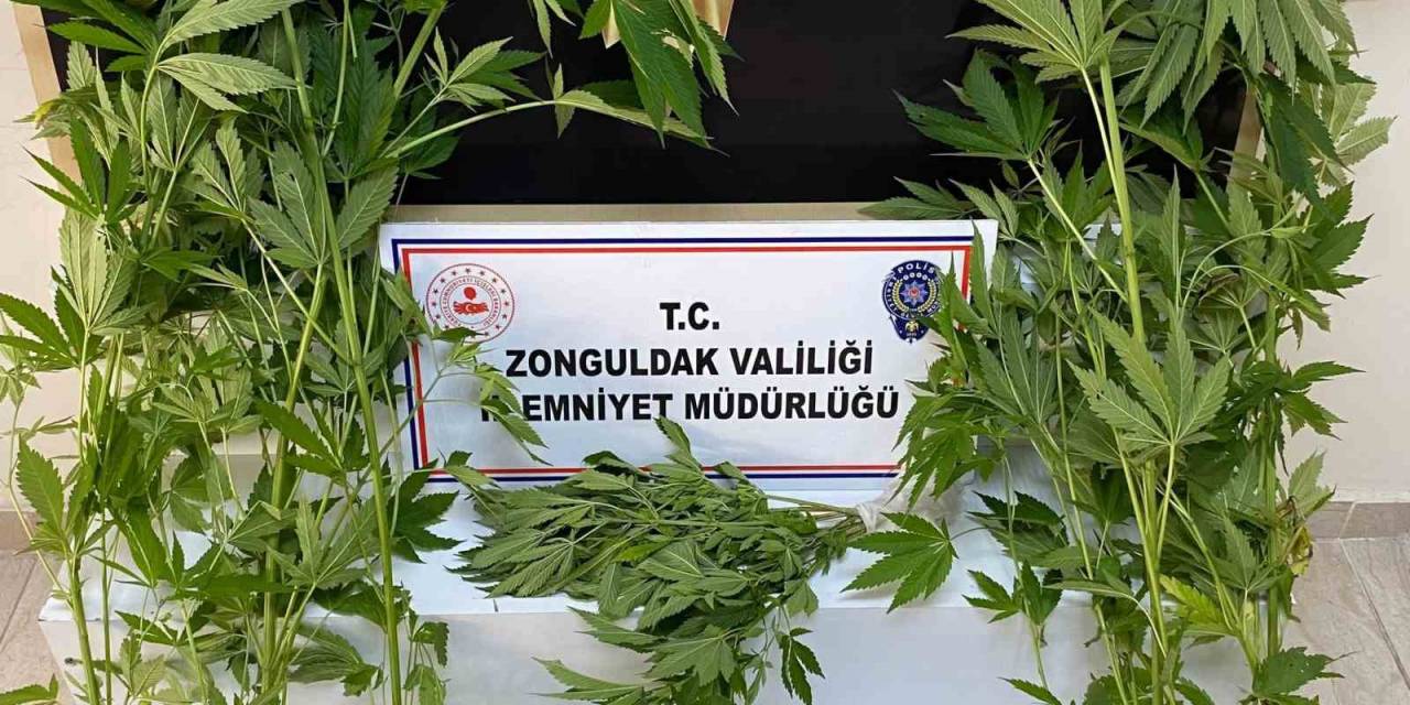 Zonguldak’ta Uyuşturucu Operasyonu