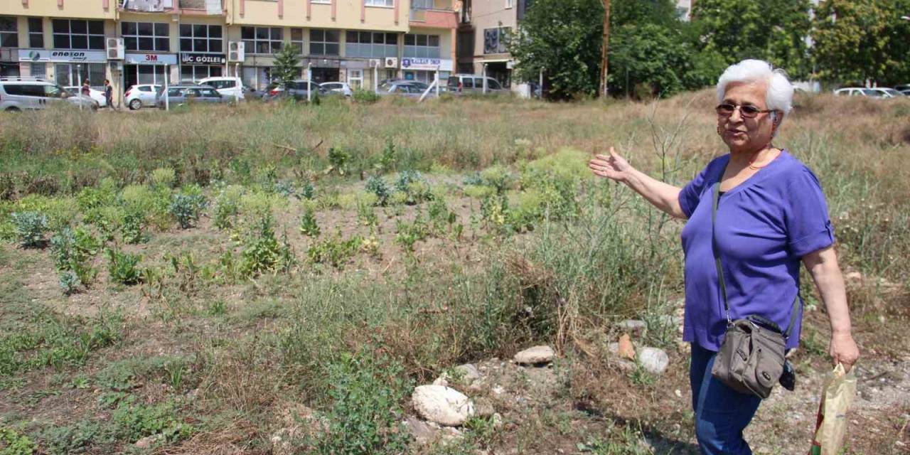 Aydındaki Aykonutzedelerin Umutları Tükendi
