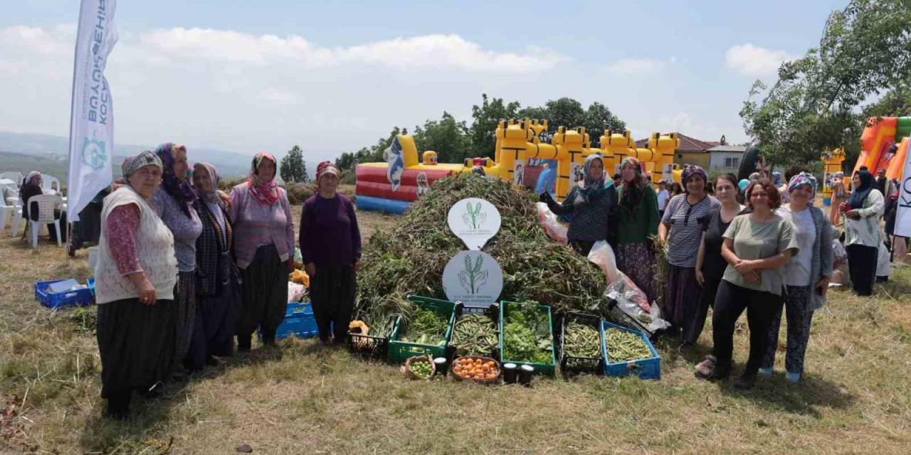 Kadın Çiftçilerin Yetiştirdiği Arakanın İlk Hasadı Yapıldı