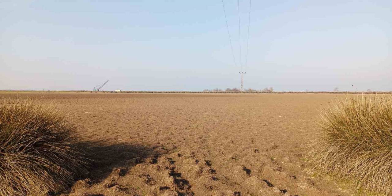 Türkiye’nin Yüzde 22,5’i Yüksek Çölleşme Riski Altında