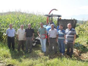 Düzce’de Silajlık Mısır Hasadı Başladı