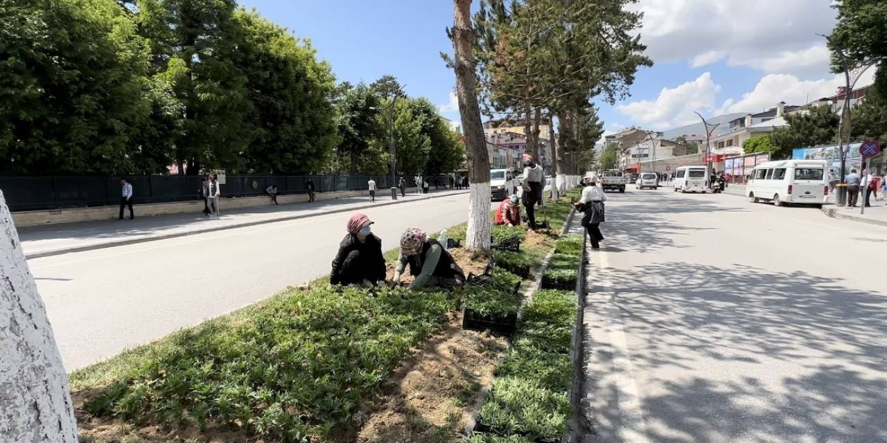 Tatvan Kadın Eliyle Güzelleşiyor