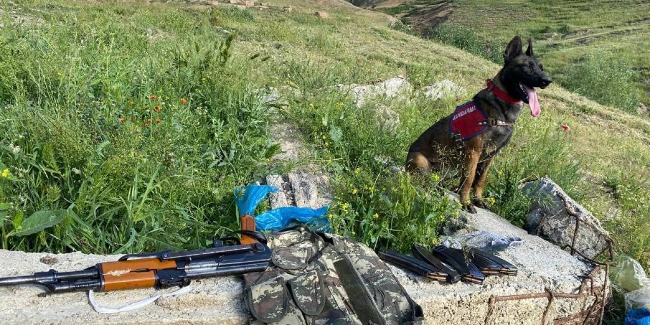 Bitlis Merkezli Silah Kaçakçılığı Operasyonu