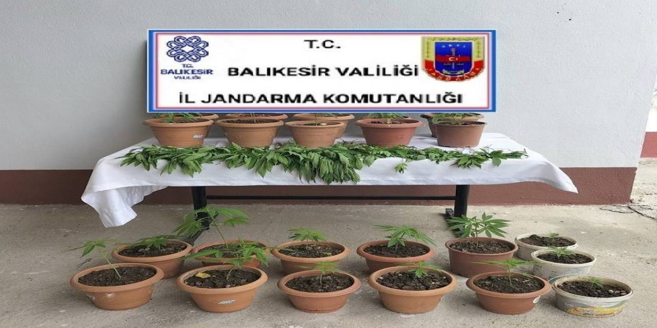 Jandarmadan Karesi’de Uyuşturucu Operasyonu