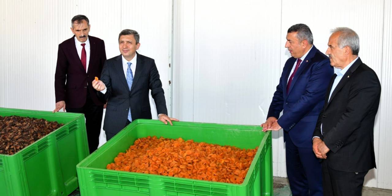 Malatya Kayısısında 2023 Yılı Tahmini Rekoltesi 77 Bin 170 Ton Olarak Açıklandı