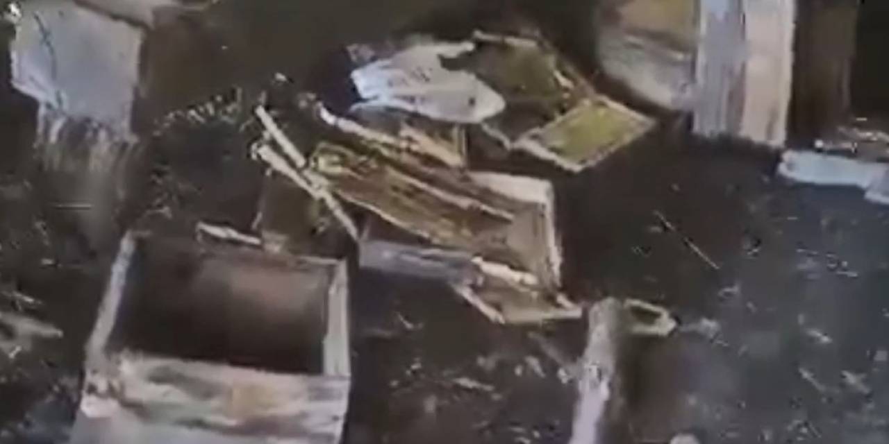 Aç Kalan Ayı Arı Kovanlarını Parçaladı
