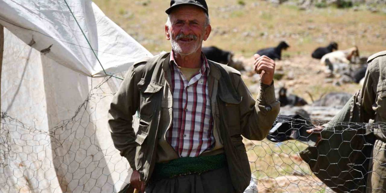 Şırnak’ta Vatandaşlar Kuzu Kırpmaya Başladı