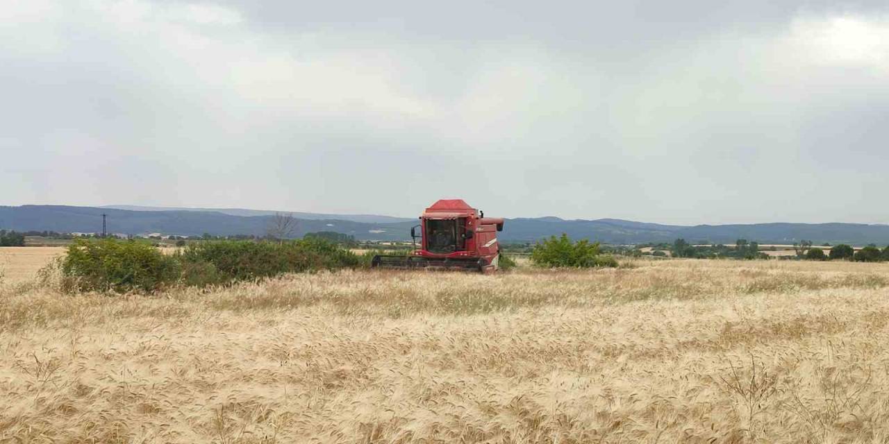 Öğrencilerin Yetiştirdiği İlk Arpa, Salonda Satıldı