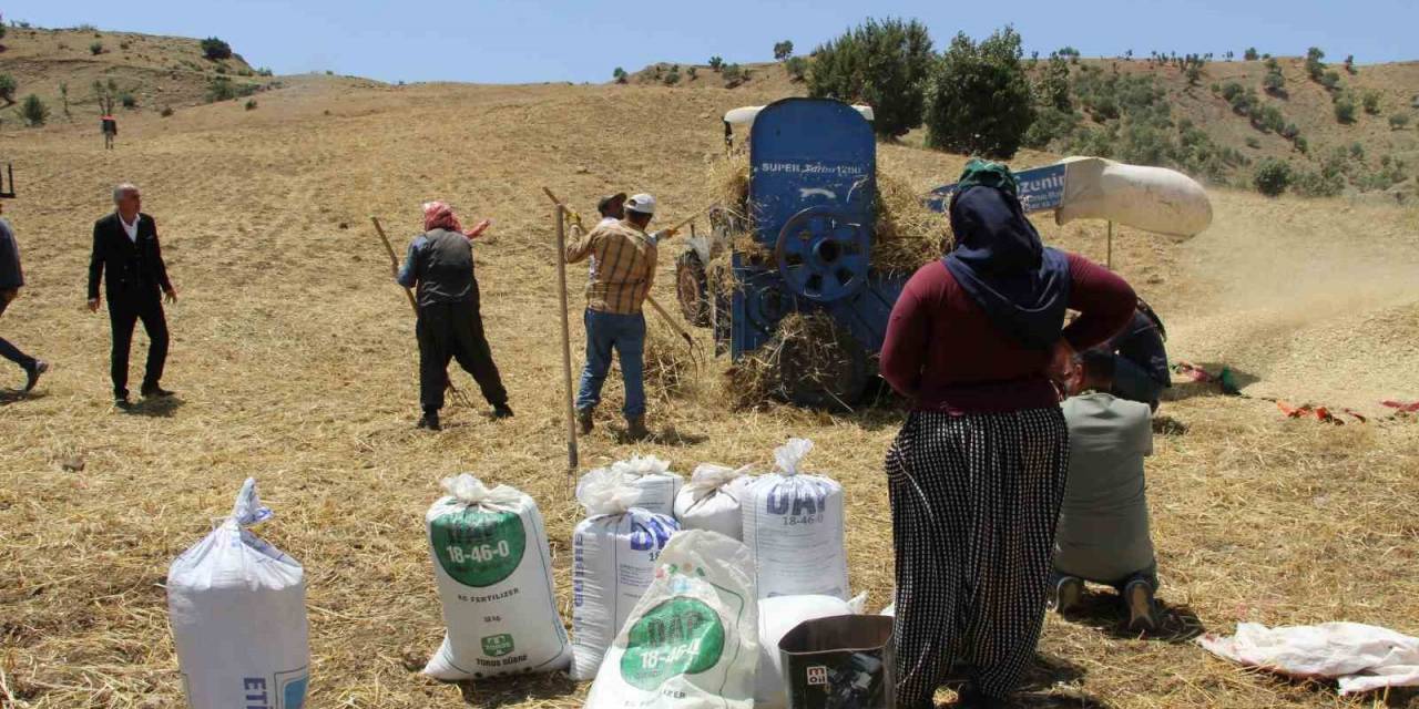 Devlet Desteğiyle Atıl Durumdaki Arazi Tarıma Kazandırıldı