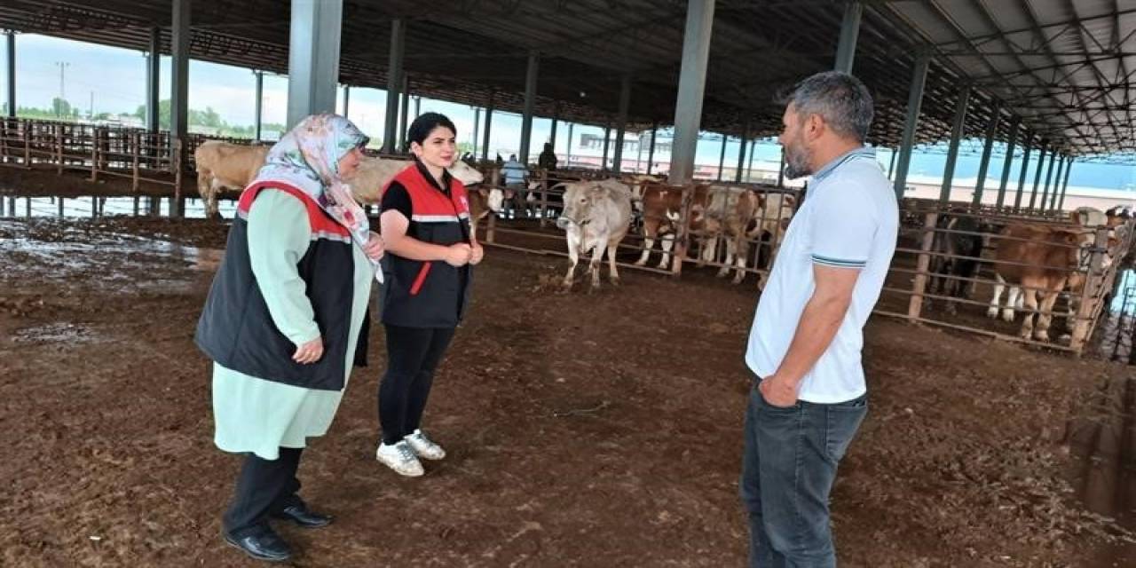 Iğdır’da Bayram Öncesi Denetimler Devam Ediyor