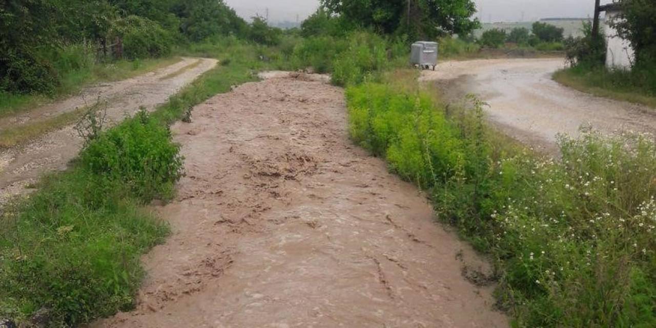 Yağmur Yağdı, Dereler Taştı