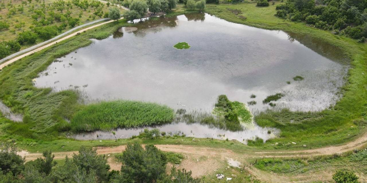 Sülüklü Göl Doğa Ve Fotoğraf Tutkunlarının Uğrak Noktası Oldu