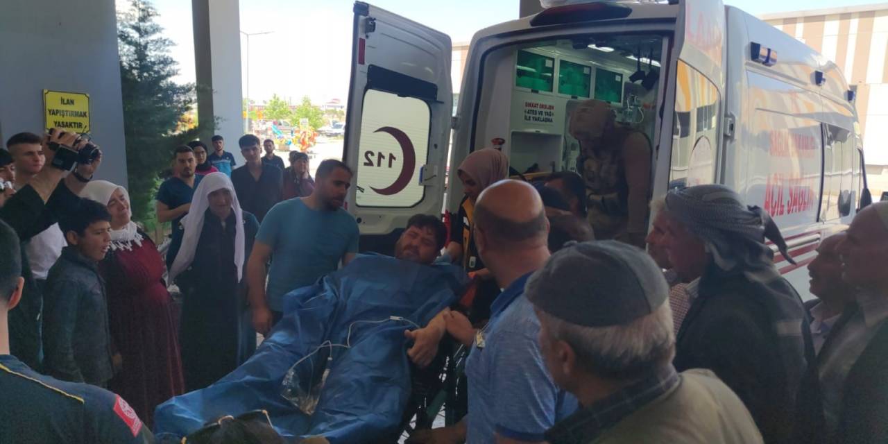 Van’da Mera Otlatma Kavgası: 4 Yaralı