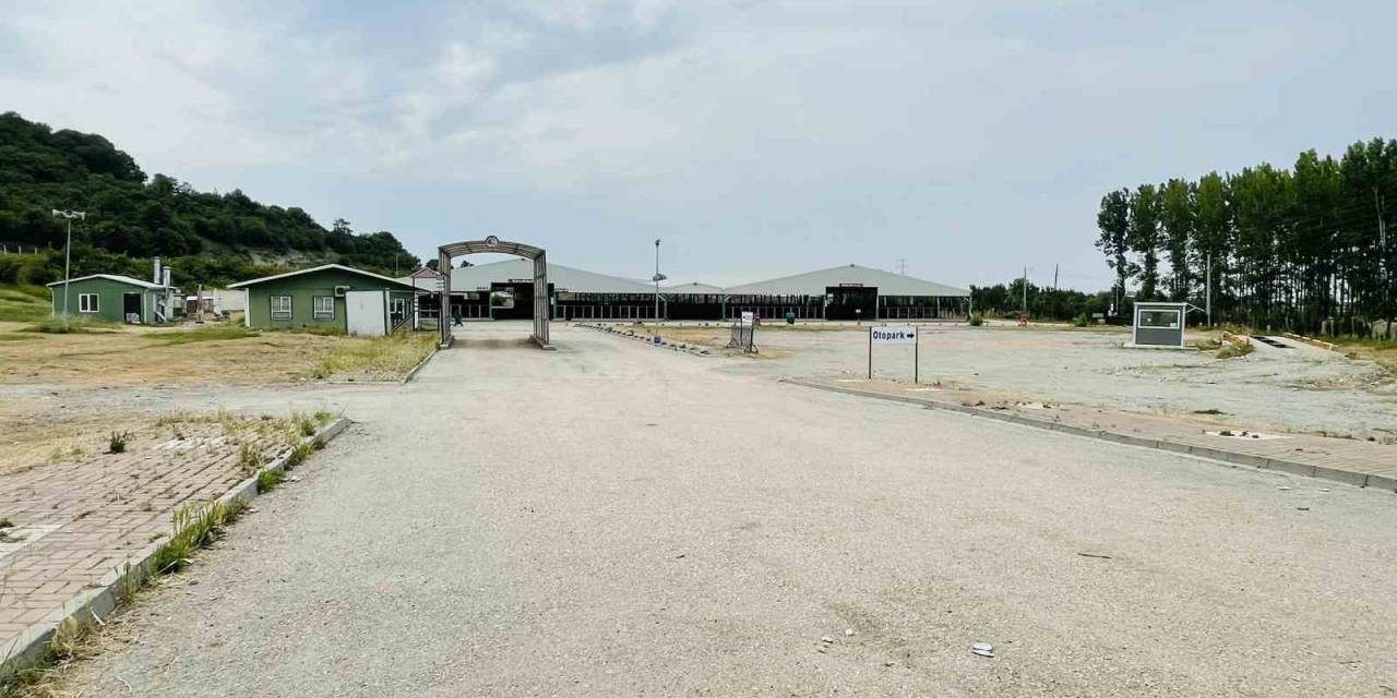 Bursa’daki Hayvan Pazarlarında Şap Karantinası