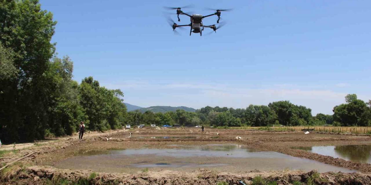 Teknoloji Tarımla Buluştu