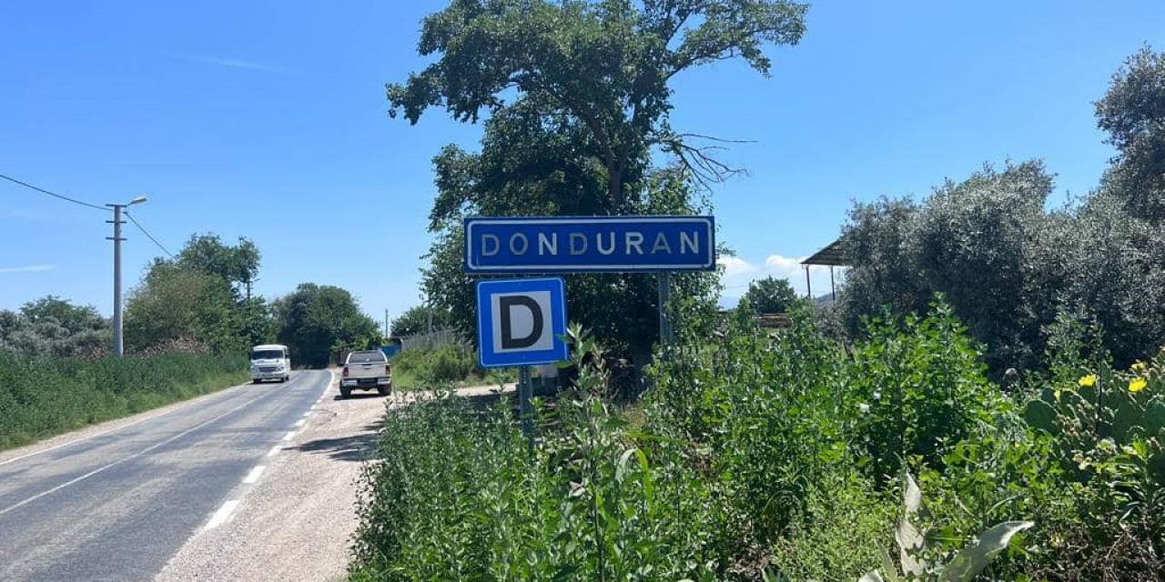 Gri Balıkçılların Sıra Dışı Yuvaları Korunuyor