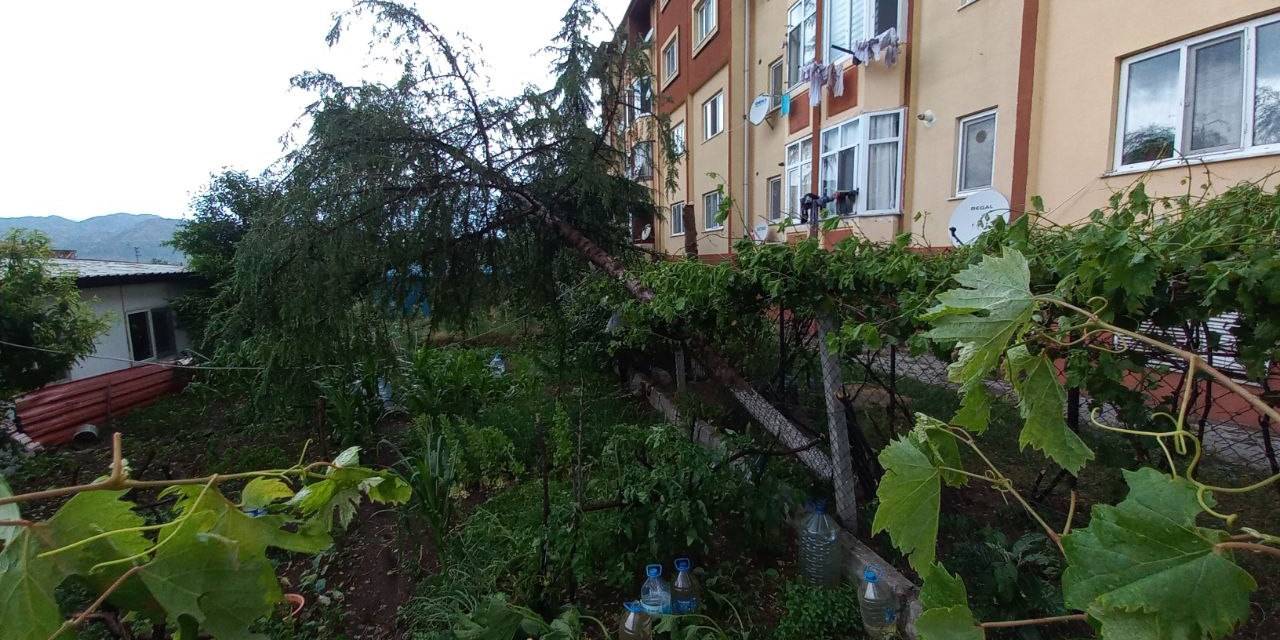Osmancık’ı Fırtına Ve Sağanak Vurdu: Çatılar Uçtu, Ağaçlar Söküldü, Caddeler Göle Döndü