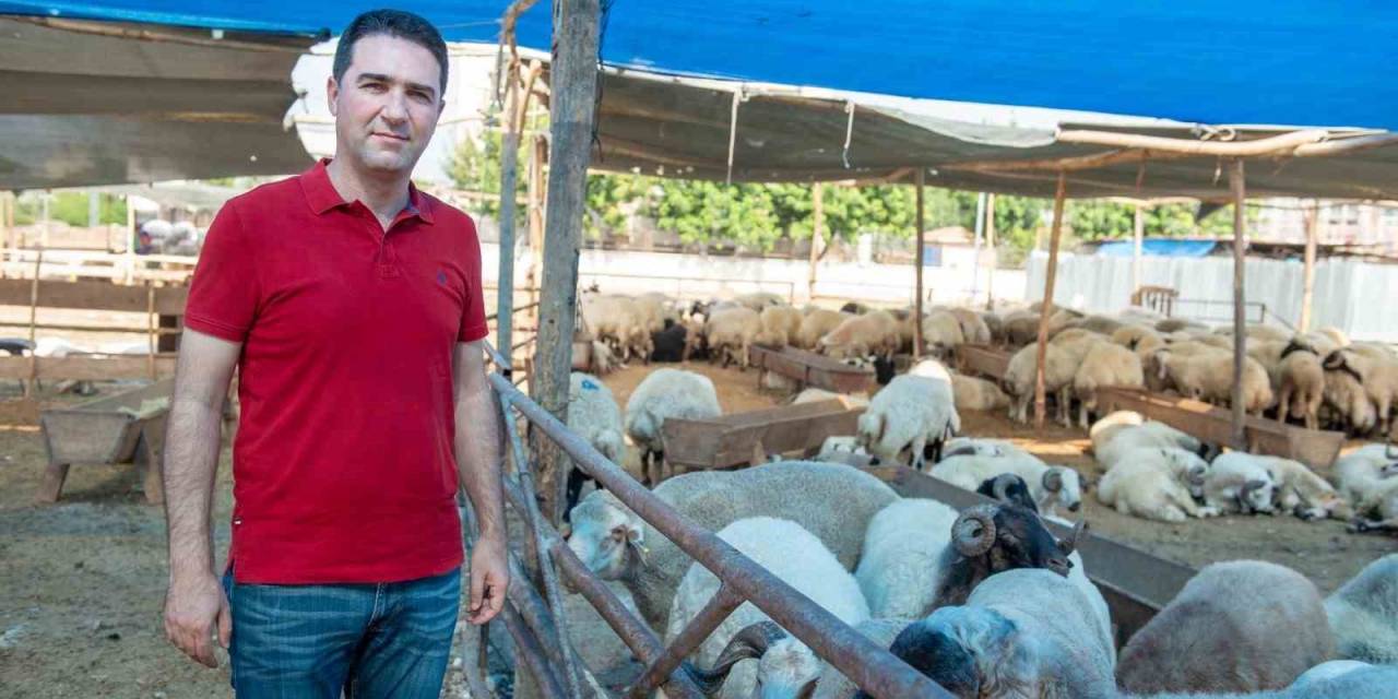 Seyhan’da Kurban Satış Ve Kesim Yerleri Belirlendi