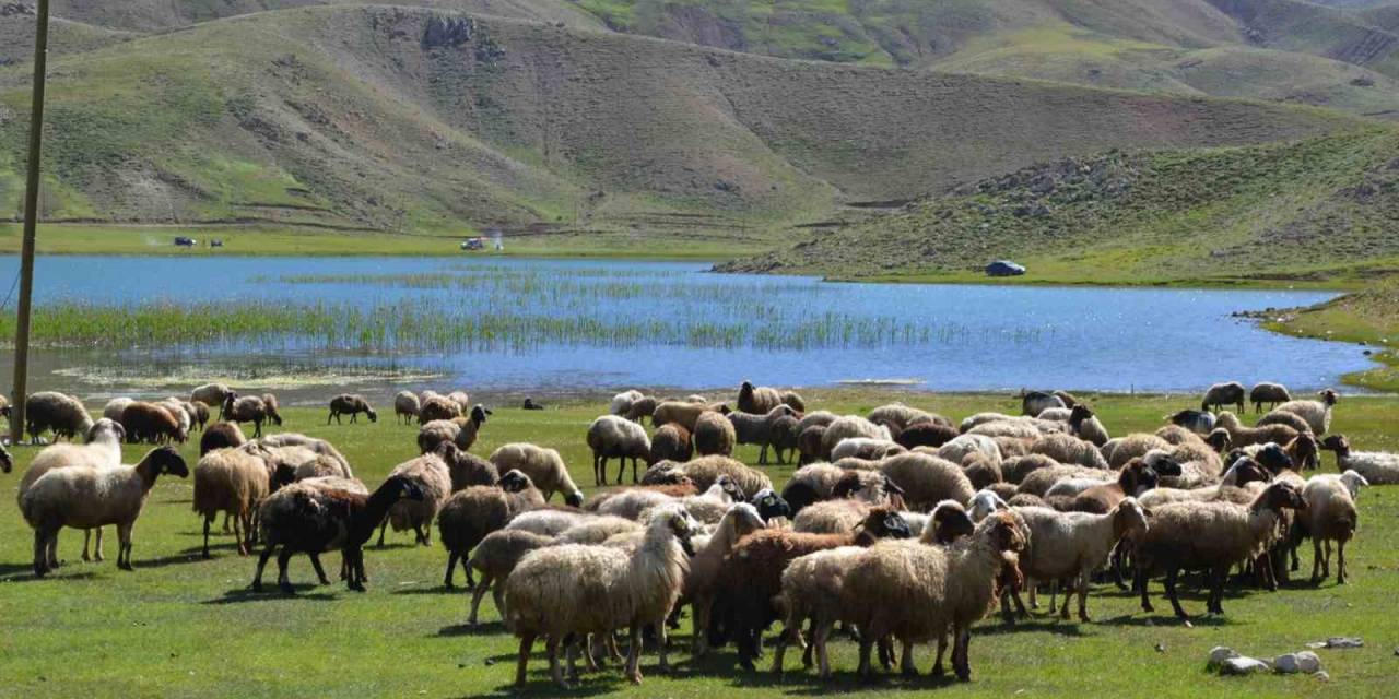 Antalya’da Yörükler Yaylalara Yerleşmeye Başladı
