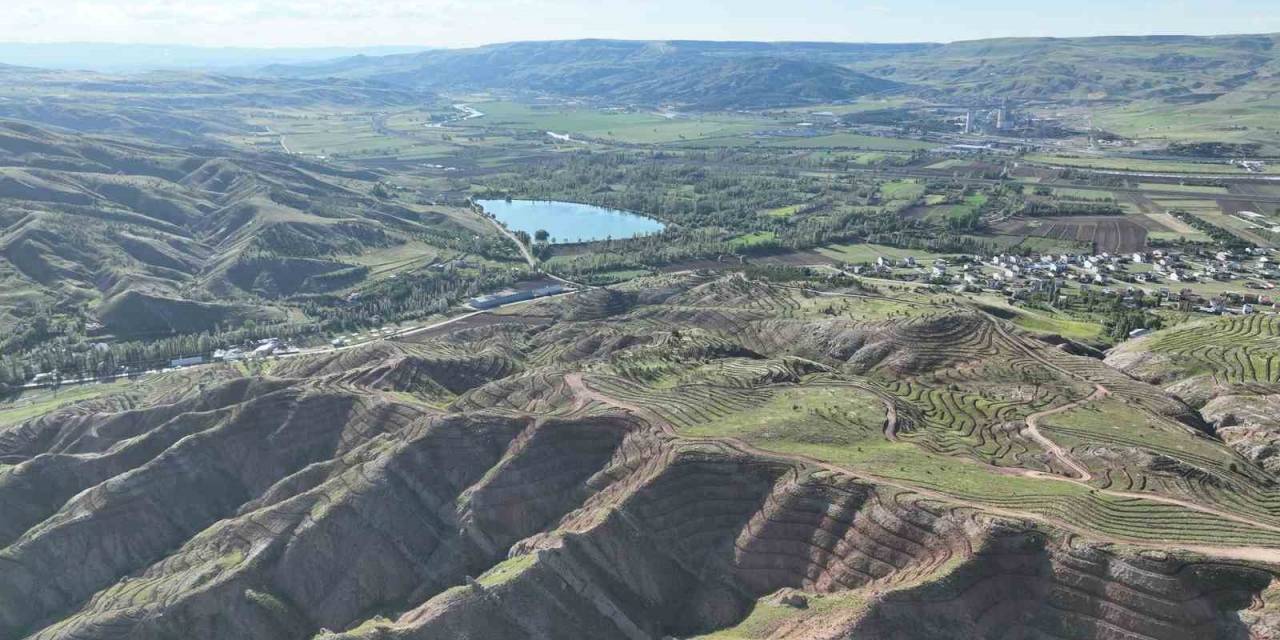 Sivas’a Yeni Bir Orman Kazandırılacak