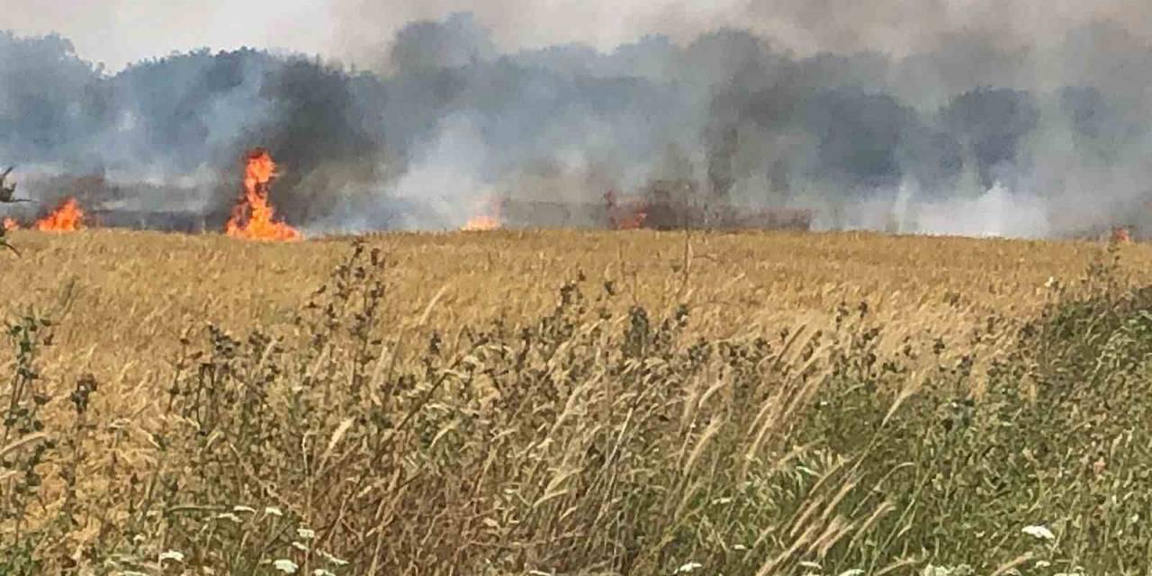 Çanakkale’de 45 Dönüm Tarım Arazisi Yanarak Kül Oldu