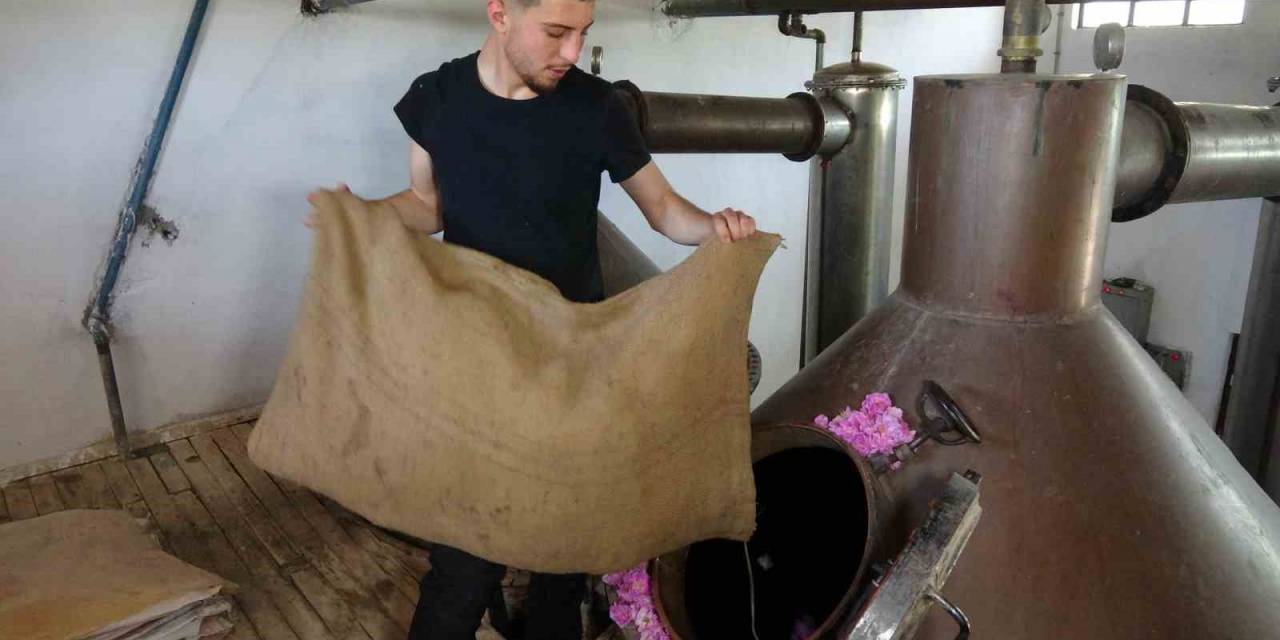 15 Milyon Gül Yaprağından Çıkıyor, Litresi 10 Bin Euroya Kadar Alcı Buluyor