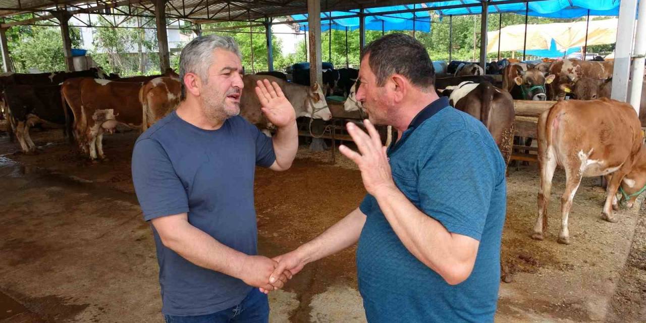 Ordu’da Besicilerin Gözü 9 Günlük Bayram Tatilinde
